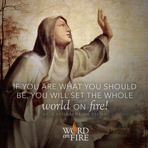 11111781_879598828745912_4056445921677696723_n