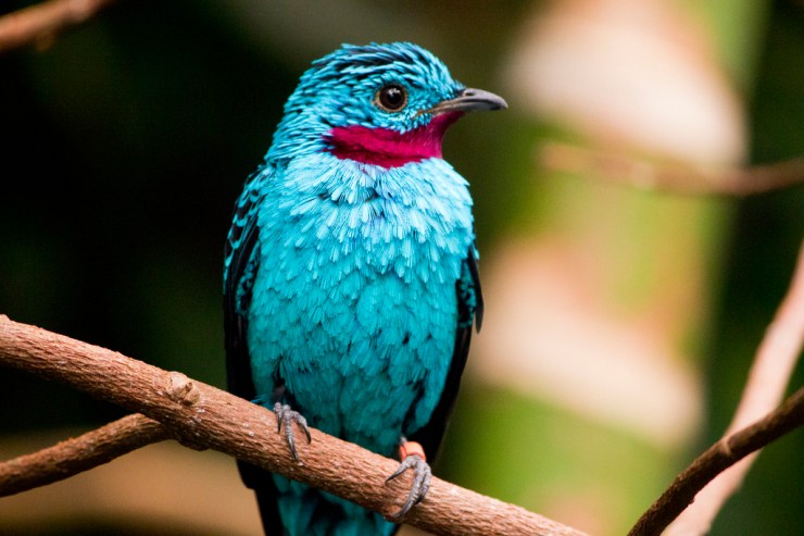 11783776135_27b1886717_b