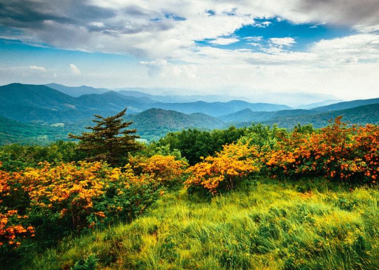 smoky-mountains-appalachian-trail-1