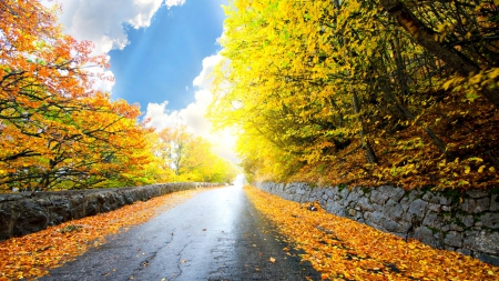 1486466-bigthumbnail