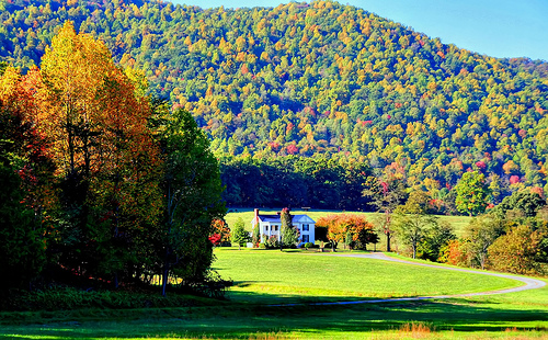 3025366143_ea36679511