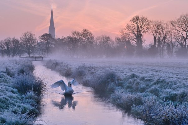 frosty_morning_england