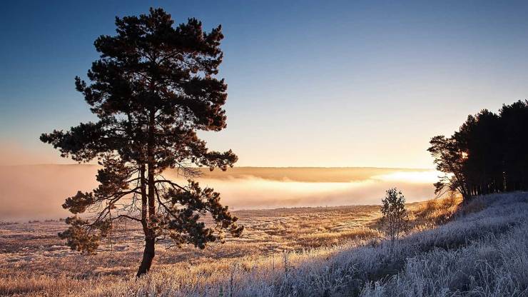 lets-travel-to-russia-with-alexei-mikhailov-frosty-morning