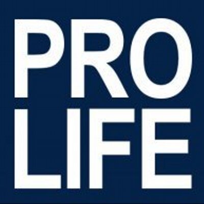 Miscarriage: The Pro-Life Movement’s Inconsistency – Swimming the Depths